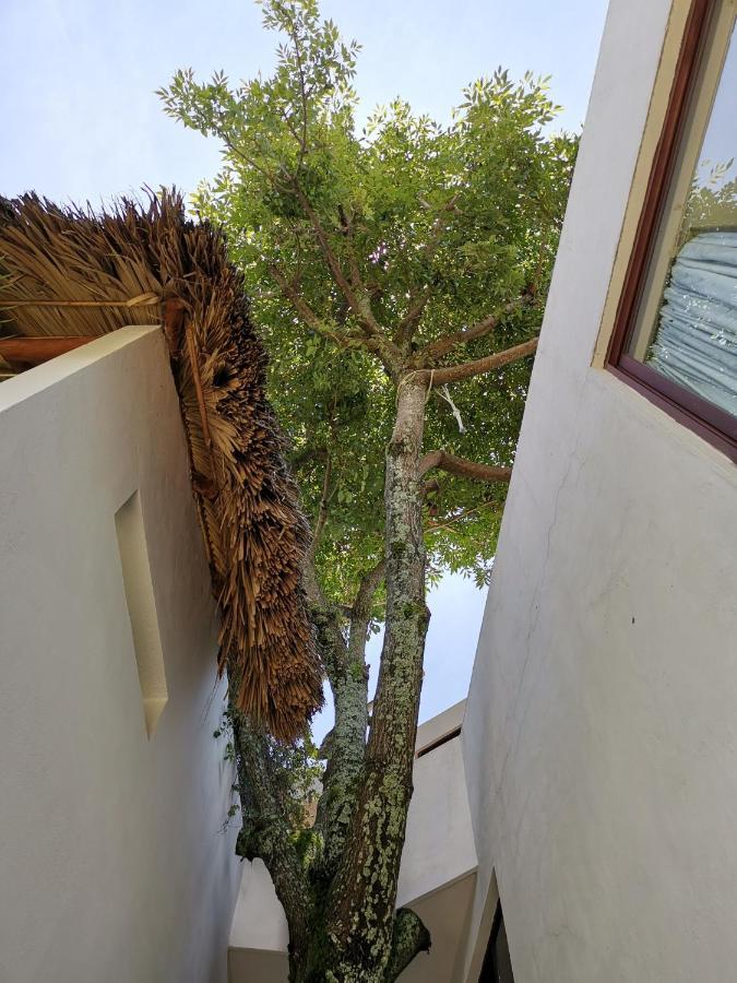 Mocca Hotels Tepoztlan Ngoại thất bức ảnh